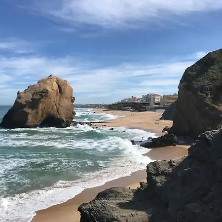 Santa Lovers * 산타 크루즈