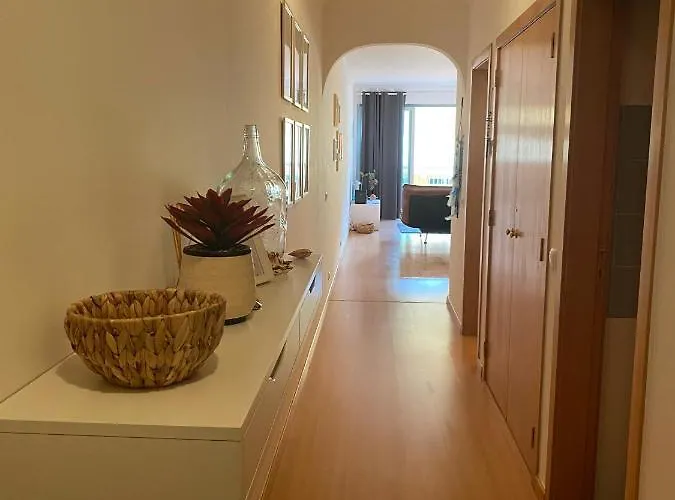 Santa Lovers סנטה קרוז